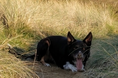 IMG_20181120_085757-1